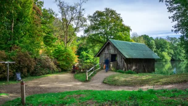 Boathouse en el borde del lago Rowes Flashe en Winkworth Arboretum, Surrey, Inglaterra, Reino Unido — Vídeo de stock