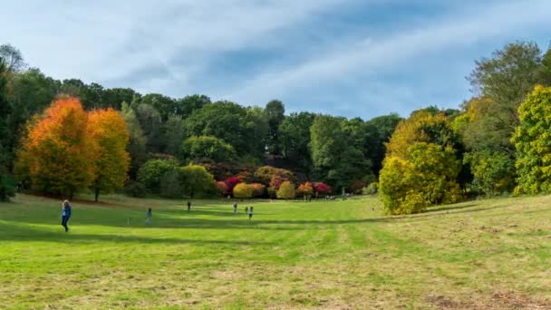 Herfstkleuren op Winkworth arboretum, in Surrey, Engeland, Uk — Stockvideo