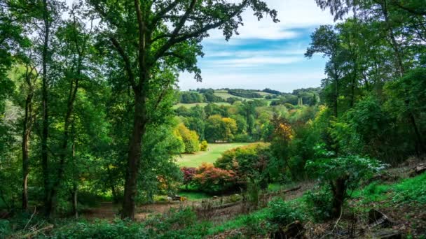 Podzimní krajina na Winkworth arboretum v Surrey, Anglie, Velká Británie — Stock video