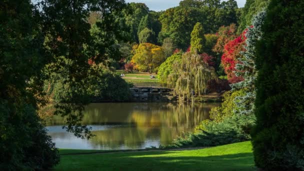 Kolory jesieni, Womans górnych sposób staw, Sheffield Park, East Sussex, Anglia, Wielka Brytania. — Wideo stockowe