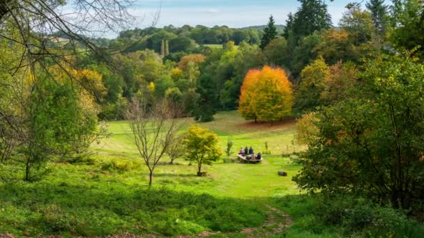 Herfstkleuren op Winkworth arboretum, in Surrey, Engeland, Verenigd Koninkrijk - oktober, 2018. — Stockvideo