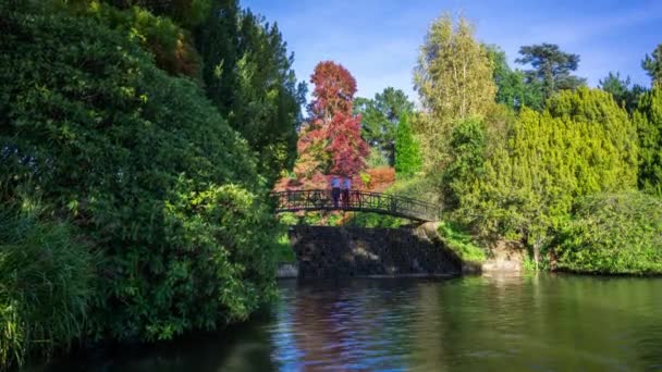 瀑布桥, 下女人路池, 谢菲尔德公园花园, 苏塞克斯, 英格兰. — 图库视频影像