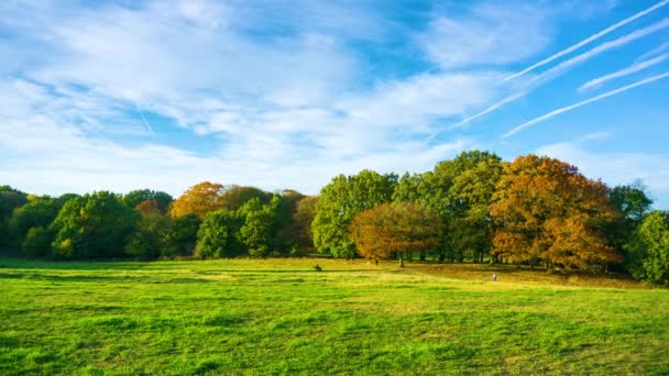 Jesienny krajobraz w Parliament Hill w Hampstead Heath park, Londyn, Anglia, Wielka Brytania — Wideo stockowe