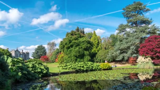 Paisagem de outono em Sheffield Park and Garden. Uckfield, East Sussex, Inglaterra, Reino Unido — Vídeo de Stock