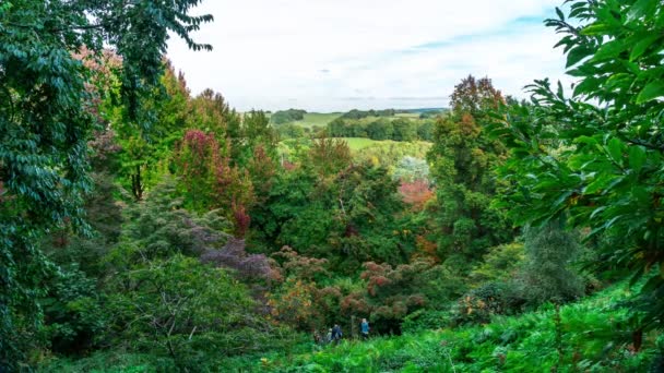 Paisagens outonais em Winkworth arboretum, em Surrey, Inglaterra, Reino Unido — Vídeo de Stock