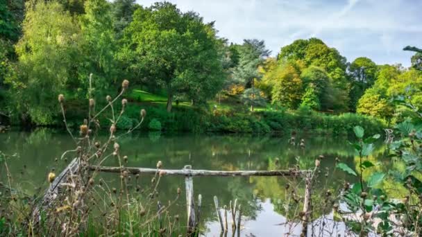 Rowes Flashe Lake em Winkworth Arboretum, em Surrey, Inglaterra, Reino Unido — Vídeo de Stock