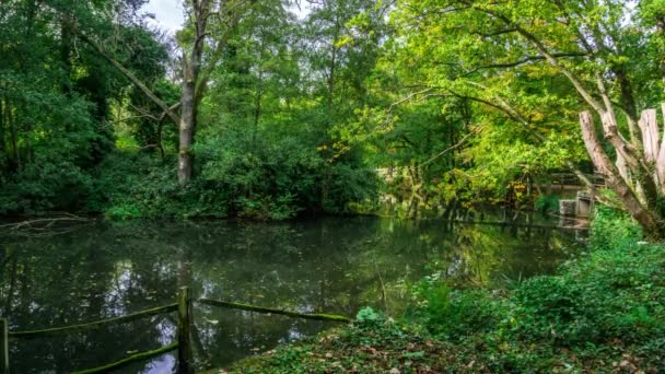 Rowes Flashe Lake em Winkworth Arboretum, em Surrey, Inglaterra, Reino Unido — Vídeo de Stock