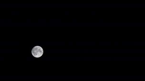 Рух повного Місяця в нічному чорному небі — стокове відео