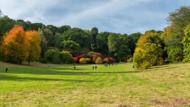 Herfst landschappen in Winkworth arboretum, in Surrey, Engeland, Uk — Stockvideo