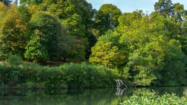 Rowes Flashe Lake op Winkworth Arboretum, in Surrey, Engeland, Uk — Stockvideo