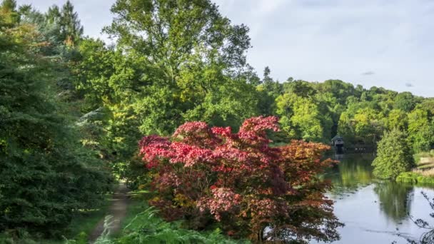 Kayıkhane kenarına Rowes Flashe gölde Winkworth Arboretum, Surrey, İngiltere — Stok video