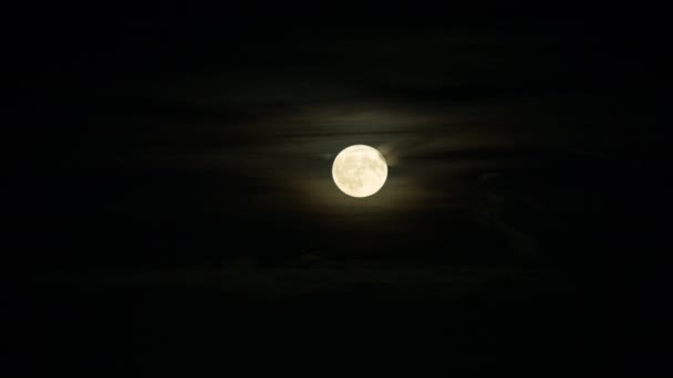 Cielo nocturno con luna llena en las nubes, lapso de tiempo — Vídeos de Stock