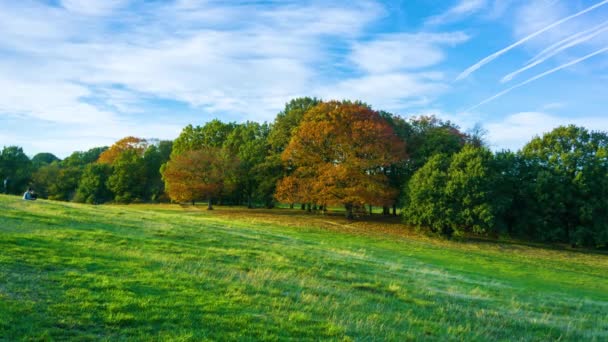 Φθινοπωρινό τοπίο στο Hill του Κοινοβουλίου στην Hampstead Heath park, Λονδίνο, Αγγλία, Ηνωμένο Βασίλειο — Αρχείο Βίντεο