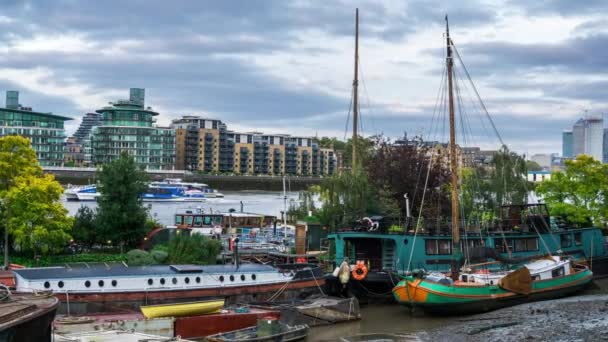 Downings Roads Moorings, Garden Barge Square, Floating Barge Gardens, river Thames, London, UK — Stock Video