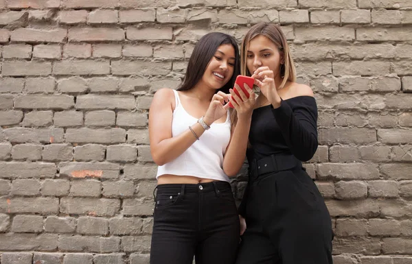 Deux Amies Heureuses Partageant Les Médias Sociaux Dans Téléphone Intelligent — Photo