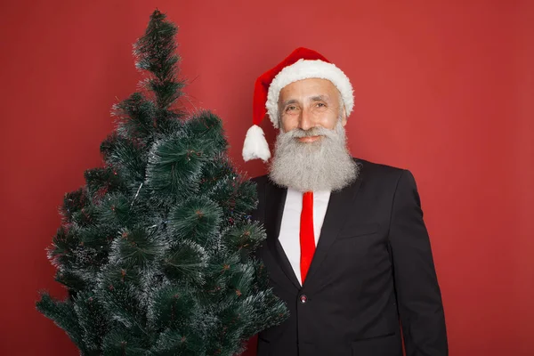 Empresário Barbudo Sênior Santa Chapéu Com Árvore Natal Fundo Vermelho — Fotografia de Stock