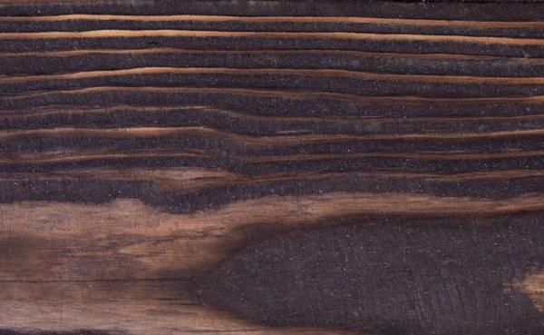 Textura Del Uso Madera Corteza Como Fondo Natural — Foto de Stock