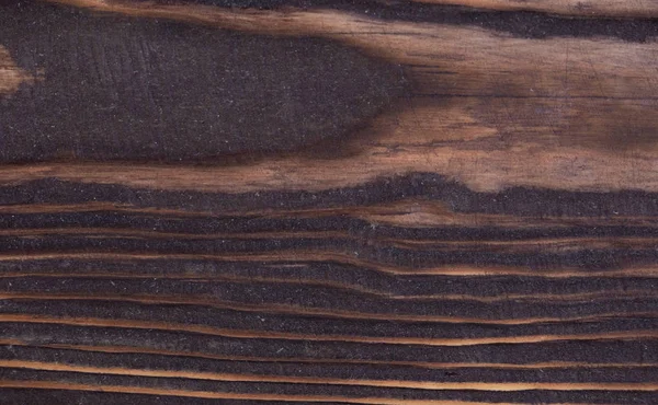 Textura Del Uso Madera Corteza Como Fondo Natural — Foto de Stock