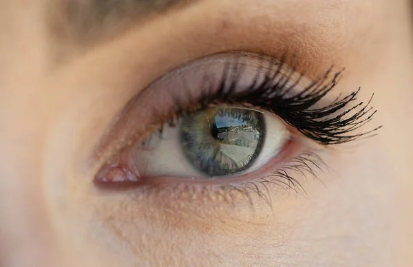 Female Eye Long Eyelashes Close — Stock Photo, Image