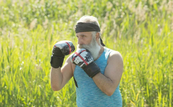 Healthy fighter bearded senior old man boxing gloves. Boxer with boxing glove.Handsome mature man practicing boxing kicks.