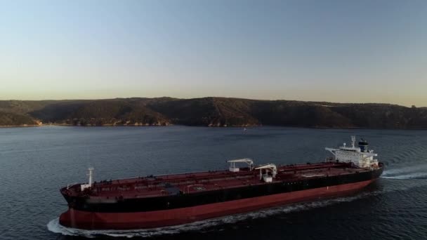 Aerial view of  huge container ship in the Bosphorus — Stock Video