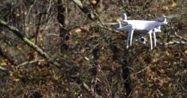 Ormandaki ağaçların arasında uçan beyaz drone.
