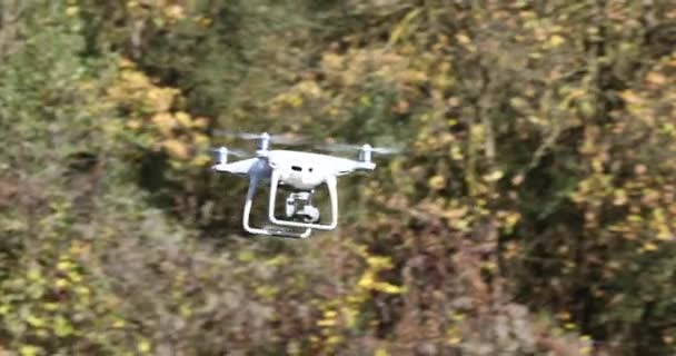 Dron blanco volando a través de los árboles en el bosque — Vídeos de Stock