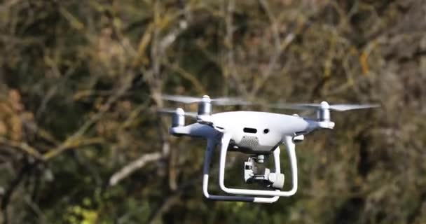 Dron blanco volando a través de los árboles en el bosque — Vídeos de Stock