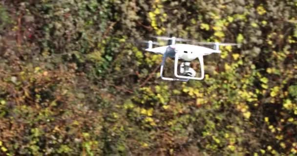 Ormandaki ağaçların arasında uçan beyaz drone. — Stok video