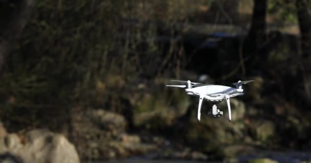 Biały dron przelatujący nad rzeką w lesie — Wideo stockowe