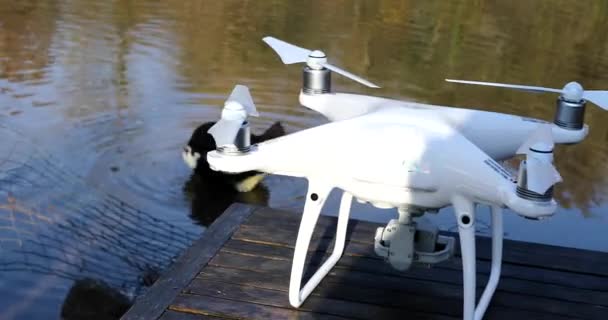 Ormandaki ağaçların arasında uçan beyaz drone. — Stok video