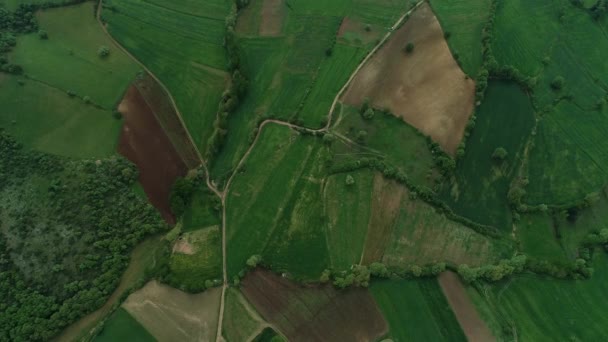 Luftaufnahme von grünen Feldern im Frühling — Stockvideo