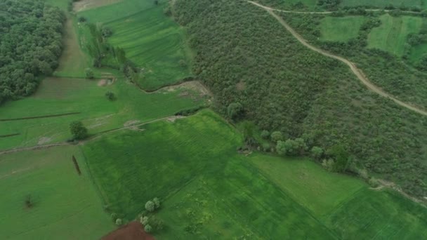 Воздушный вид зеленых полей в весеннее время — стоковое видео