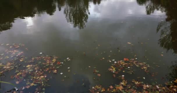 Herfst landschap van lake — Stockvideo