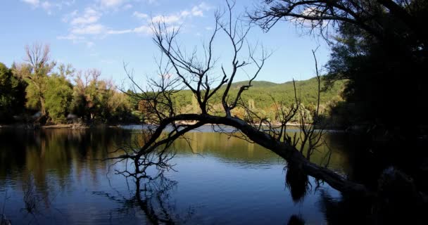 春天时白云的美丽湖景 — 图库视频影像