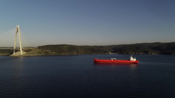 Aerial view of container ship in the Bosphorus — Stock Video