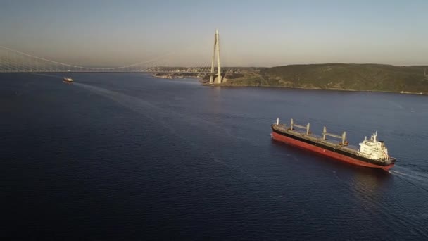 Aerial view of container ship in the Bosphorus — Stock Video