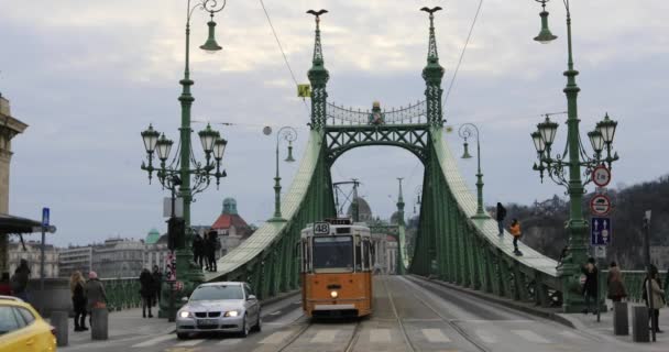 Βουδαπέστη Ουγγαρία Ιανουαρίου 2019 Θέα Στον Ποταμό Δούναβη Και Γέφυρα — Αρχείο Βίντεο