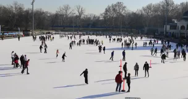 Many people ice skating on rink outdoors — Stock Video