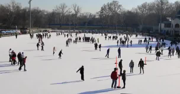 Veel mensen schaatsen op ijsbaan buitenshuis — Stockvideo