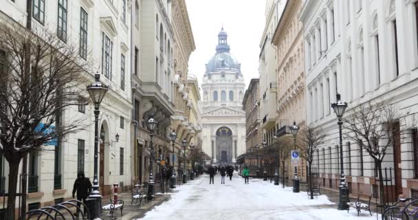 Budapeşte'deki Aziz Stephen Katedrali — Stok video