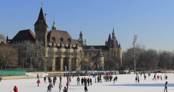 Muchas personas patinando sobre hielo en pista al aire libre — Vídeos de Stock