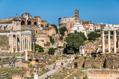 Güneşli yaz gününde Roma Forumu'nun görünümü
