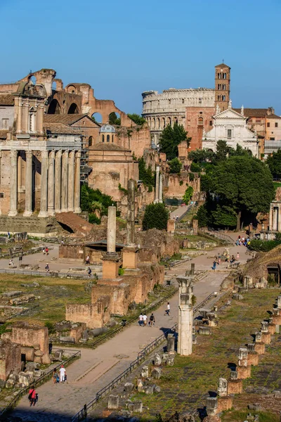 En vy över Forum Romanum i Rom på soliga sommardagar — Stockfoto