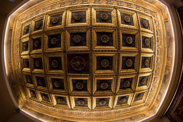 Oda İçi Güzel Vatikan Müzesi Tavan Detayları — Stok fotoğraf
