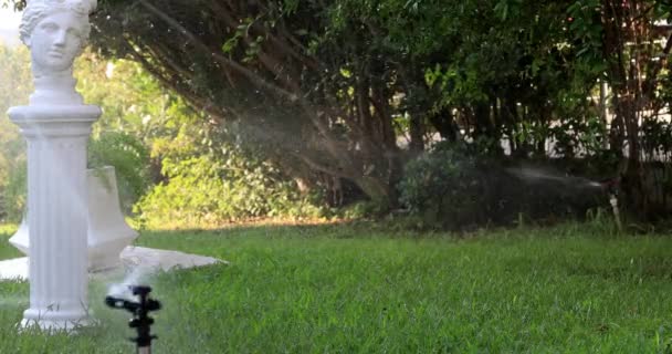 Aspersor Jardín Durante Riego Del Césped Verde Día Soleado Verano — Vídeo de stock