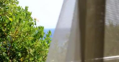 Güzel okyanus manzarası ve ağaçlar ile Teras