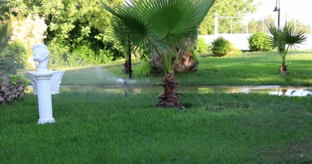 Tuin Sprinkler Tijdens Het Groene Gazon Drenken Een Zonnige Zomerdag — Stockvideo