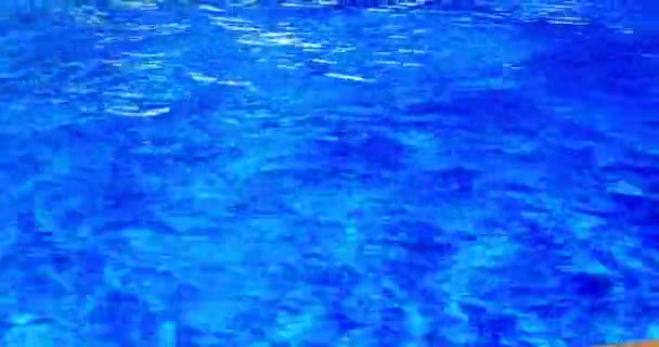 Swimming Pool Area White Sunbeds — Stock Video