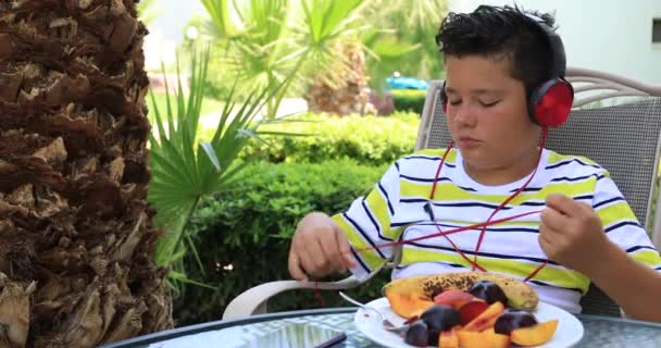 Niño con auriculares usando smartphone en el jardín 2 — Vídeos de Stock